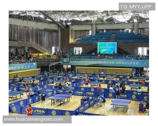 乒乓球的魅力与精神：深入了解成都乒乓球队的训练与文化